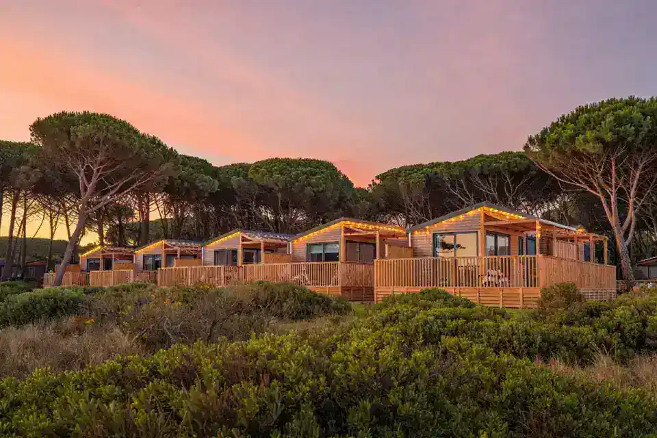 Camping haut de gamme en France avec mobil-homes design au milieu des pins, lumière dorée du soir