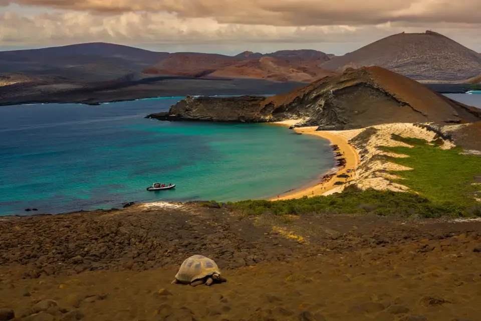 Vue aérienne d'une île volcanique des Galápagos avec un petit navire d'expédition ancré dans une baie turquoise entourée de roche noire et de végétation