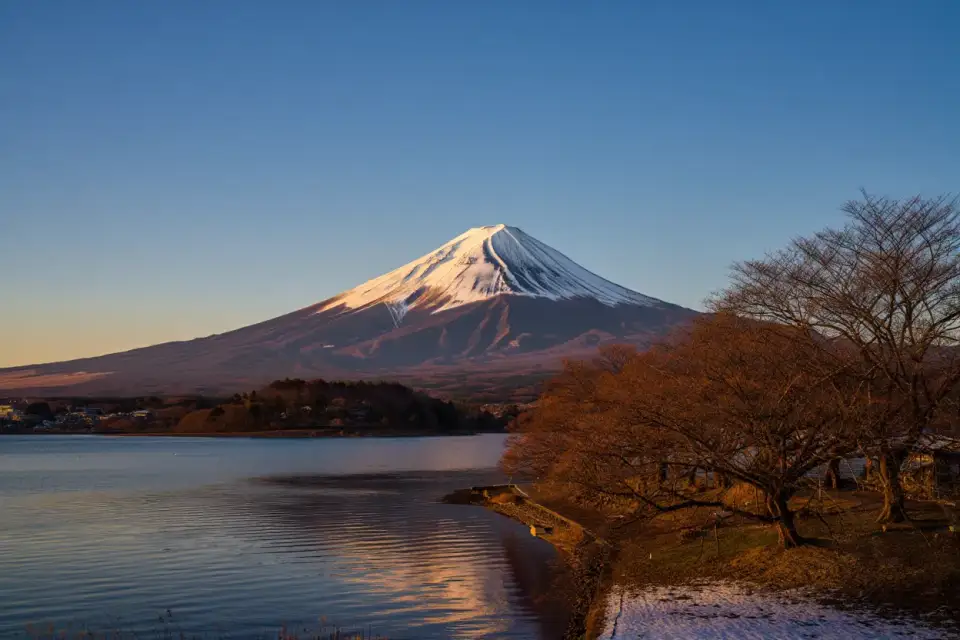Mont Fuji enneigé vu depuis le lac Kawaguchi en hiver, ciel bleu limpide, arbres dénudés au premier plan, paysage japonais sans touristes