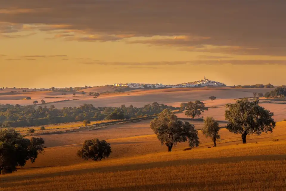 Plaines dorées de l'Alentejo au Portugal avec chênes-lièges dispersés et village blanc perché à l'horizon au coucher du soleil